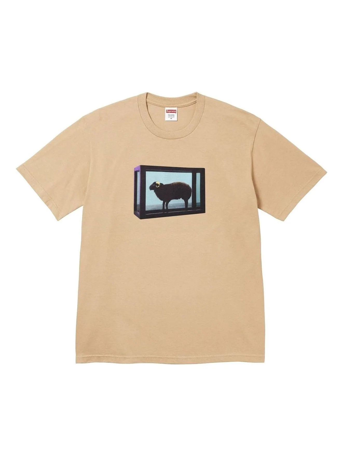 Футболка Supreme x Damien Hirst 'Khaki' — изображение 1 из 2, хаки