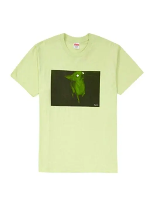 Футболка fw18 chris cunningham chihuahua pale mint tee Supreme — изображение 1 из 1, зеленый