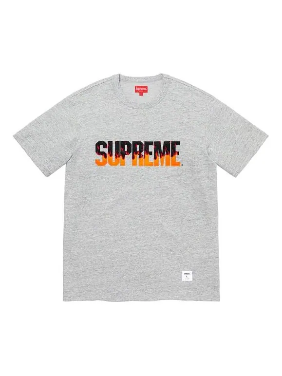 Футболка fw19 week 1 flame s/s top logo short sleeve gray Supreme — изображение 1 из 1, серый