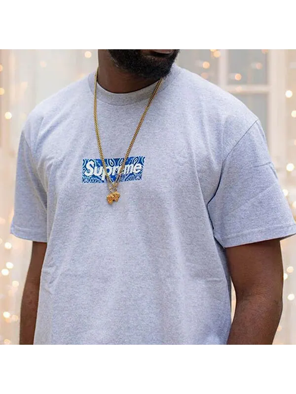 Футболка fw19 week 17 bandana box logo tee cashew short sleeve gray Supreme — изображение 4 из 4, серый