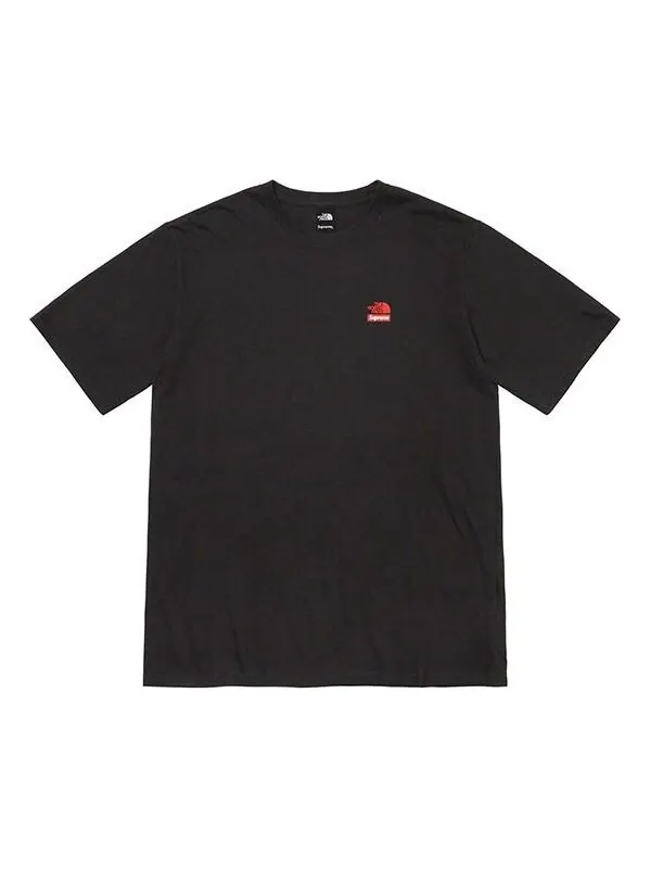 Футболка fw19 week 10 x the north face statue of liberty black tee Supreme — изображение 1 из 2, черный