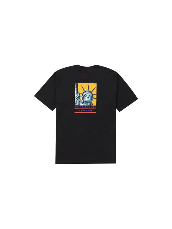 Футболка fw19 week 10 x the north face statue of liberty black tee Supreme — изображение 2 из 2, черный
