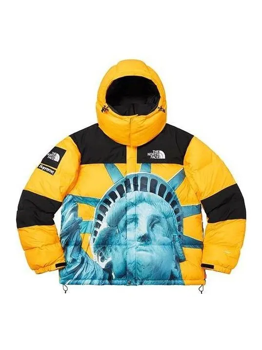 Куртка x the north face statue of liberty mountain jacket 'yellow' Supreme — изображение 1 из 4, желтый