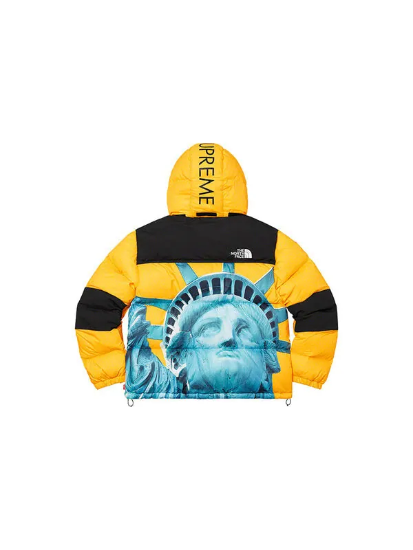Куртка x the north face statue of liberty mountain jacket 'yellow' Supreme — изображение 2 из 4, желтый