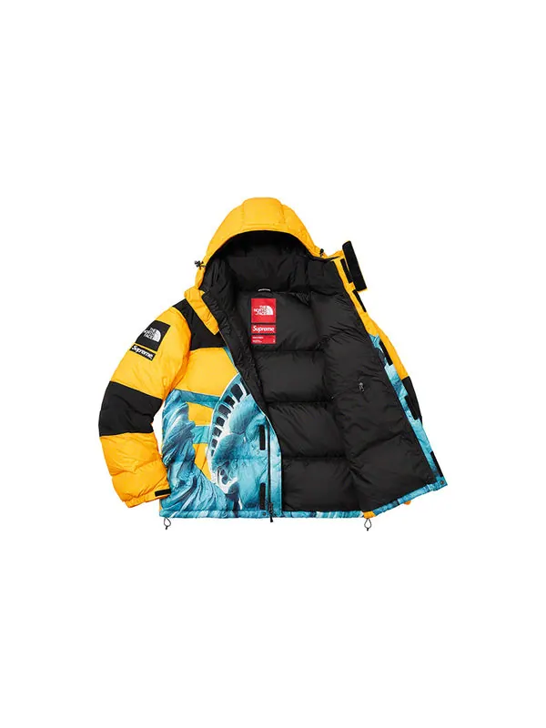 Куртка x the north face statue of liberty mountain jacket 'yellow' Supreme — изображение 3 из 4, желтый