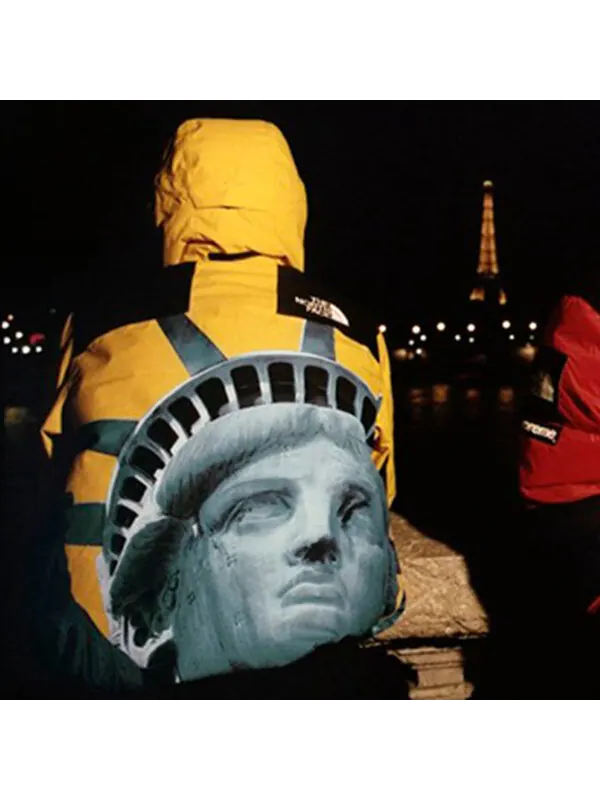 Куртка x the north face statue of liberty mountain jacket 'yellow' Supreme — изображение 4 из 4, желтый