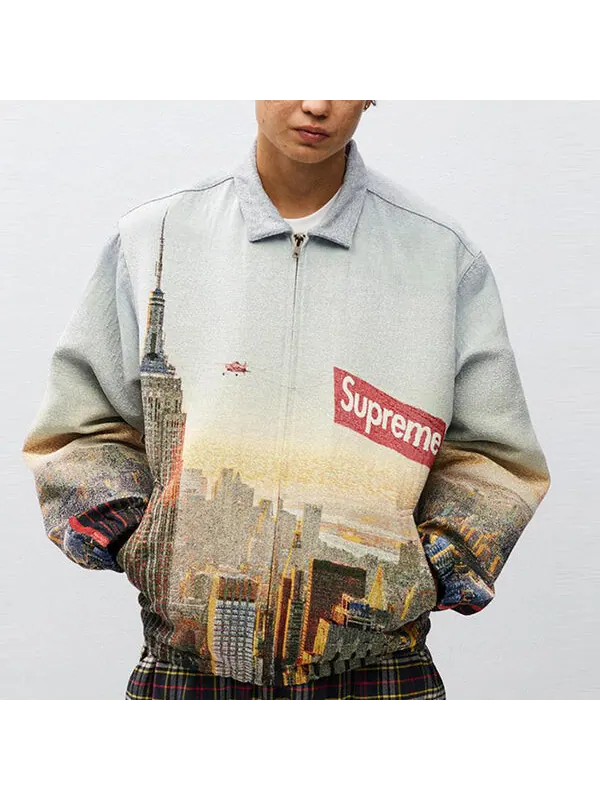 Куртка aerial tapestry harrington jacket 'multi-color' Supreme — изображение 3 из 3, мульти