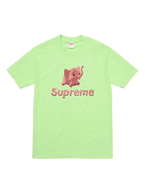 Футболка ss17 elephant light green tee Supreme — изображение 1 из 1, светлый зеленый