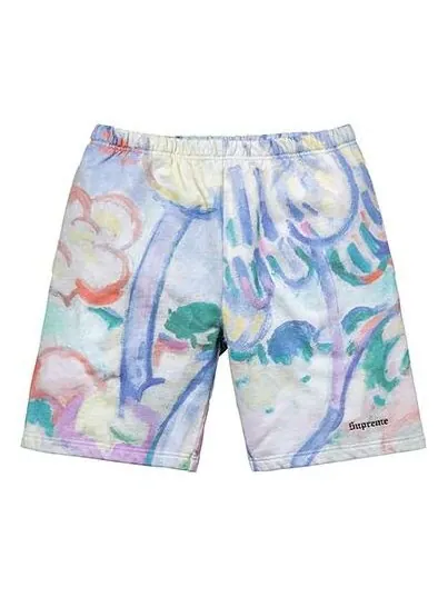 Шорты ss18 landscape sweatshort multicolor Supreme — изображение 1 из 2, мульти