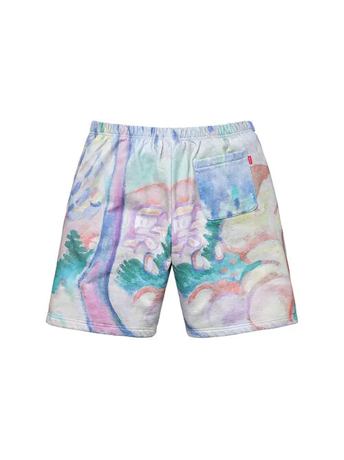 Шорты ss18 landscape sweatshort multicolor Supreme — изображение 2 из 2, мульти