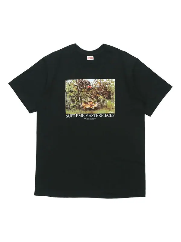 Футболка ss20 week 1 masterpieces tee landscape printing short sleeve black Supreme — изображение 1 из 2, черный