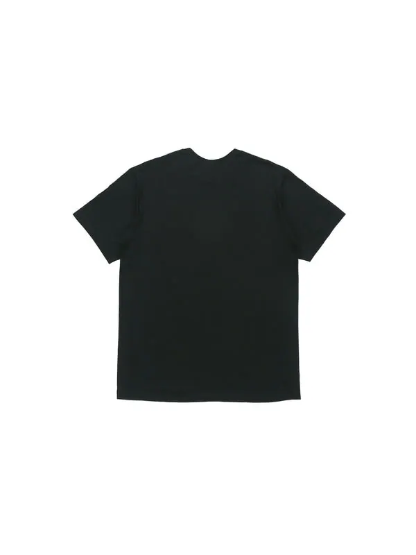Футболка ss20 week 1 masterpieces tee landscape printing short sleeve black Supreme — изображение 2 из 2, черный