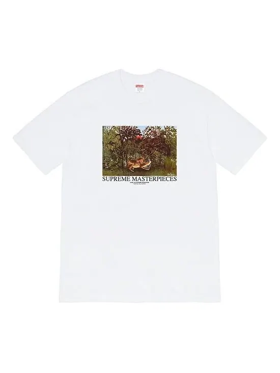 Футболка landscape printing short sleeve white Supreme — изображение 1 из 1, белый