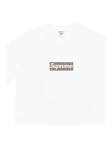 Футболка Supreme SS22 Week 3 x Burberry Box Logo Tee — изображение 1 из 1, мульти