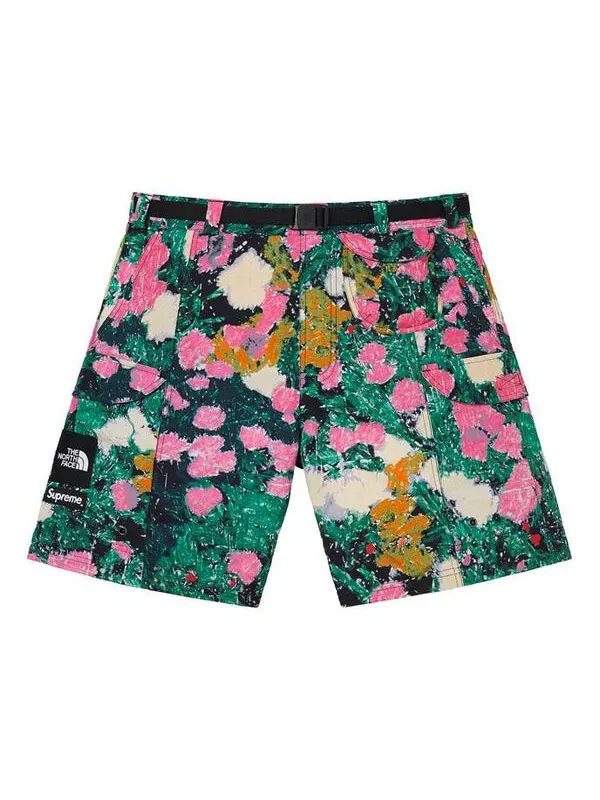 Шорты ss22 week 16 x the north face trekking packable belted short Supreme — изображение 1 из 3, мульти