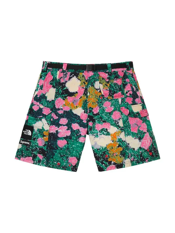 Шорты ss22 week 16 x the north face trekking packable belted short Supreme — изображение 2 из 3, мульти
