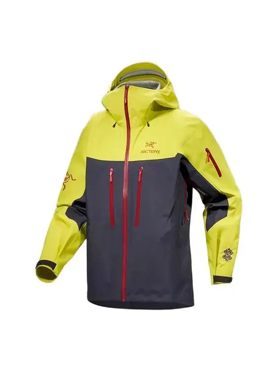 Куртка Arc'Teryx Alpha SV Jacket 'Year of the Dragon' — изображение 1 из 1, зеленый