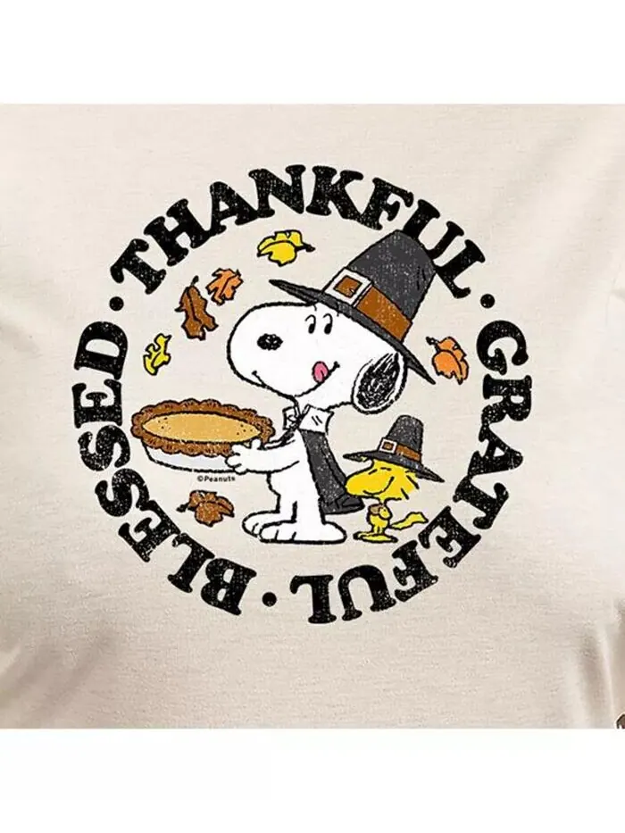 Футболка-пуловер с надписью Peanuts Thankful размера Plus Hybrid Apparel — изображение 3 из 3, бежевый/хаки