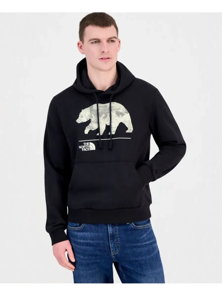 Мужская толстовка Evolution Mountain Bear The North Face