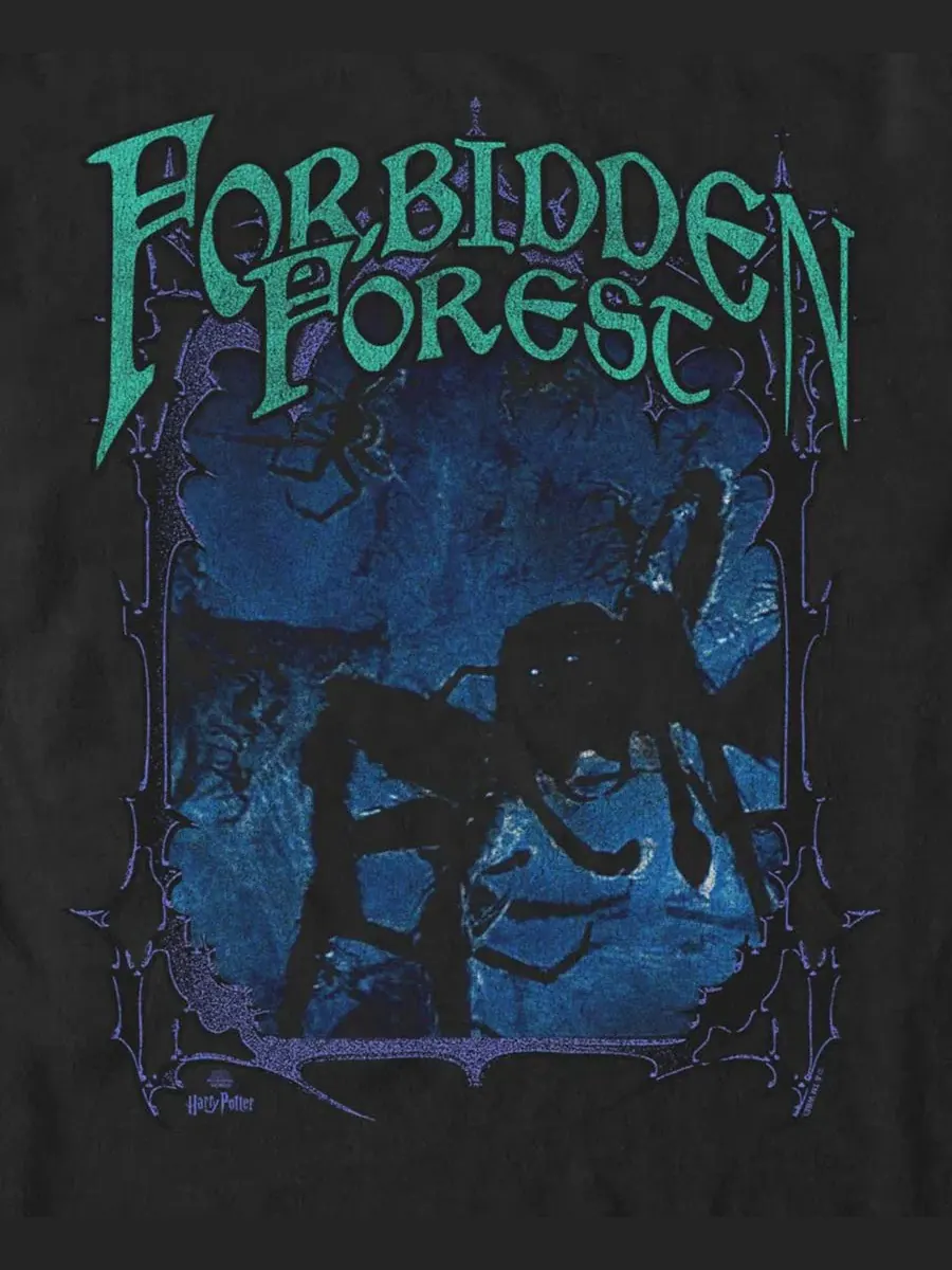 Мужская футболка с принтом Chamber Of Secrets Forbidden Forest With Aragog Fifth Sun — изображение 3 из 3, черный