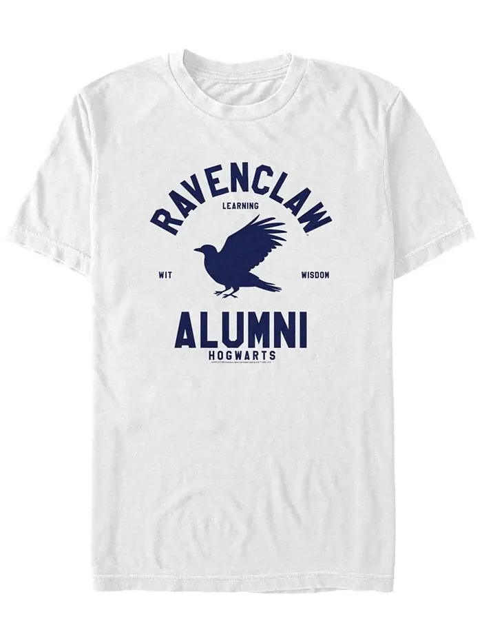 Мужская футболка с короткими рукавами и круглым вырезом Ravenclaw Alumni Fifth Sun — изображение 1 из 1, белый