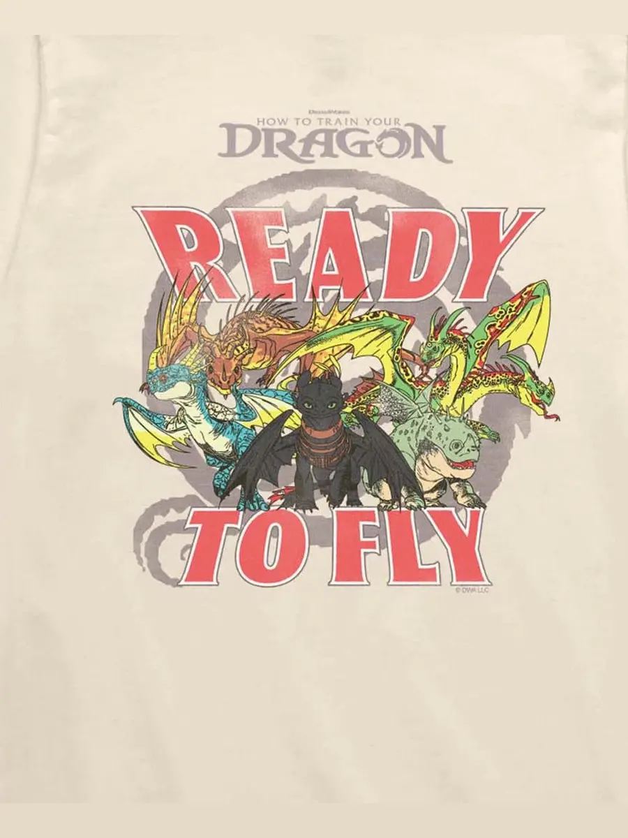 Детская футболка с коротким рукавом, размер 8-20 How To Train Your Dragon — изображение 3 из 3, бежевый