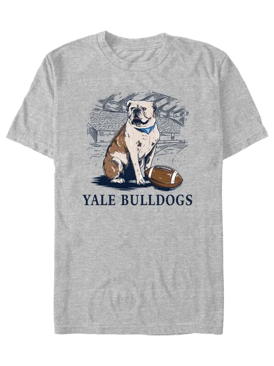 Мужская футболка с графическим принтом Yale Bulldog Fifth Sun — изображение 1 из 3, серый