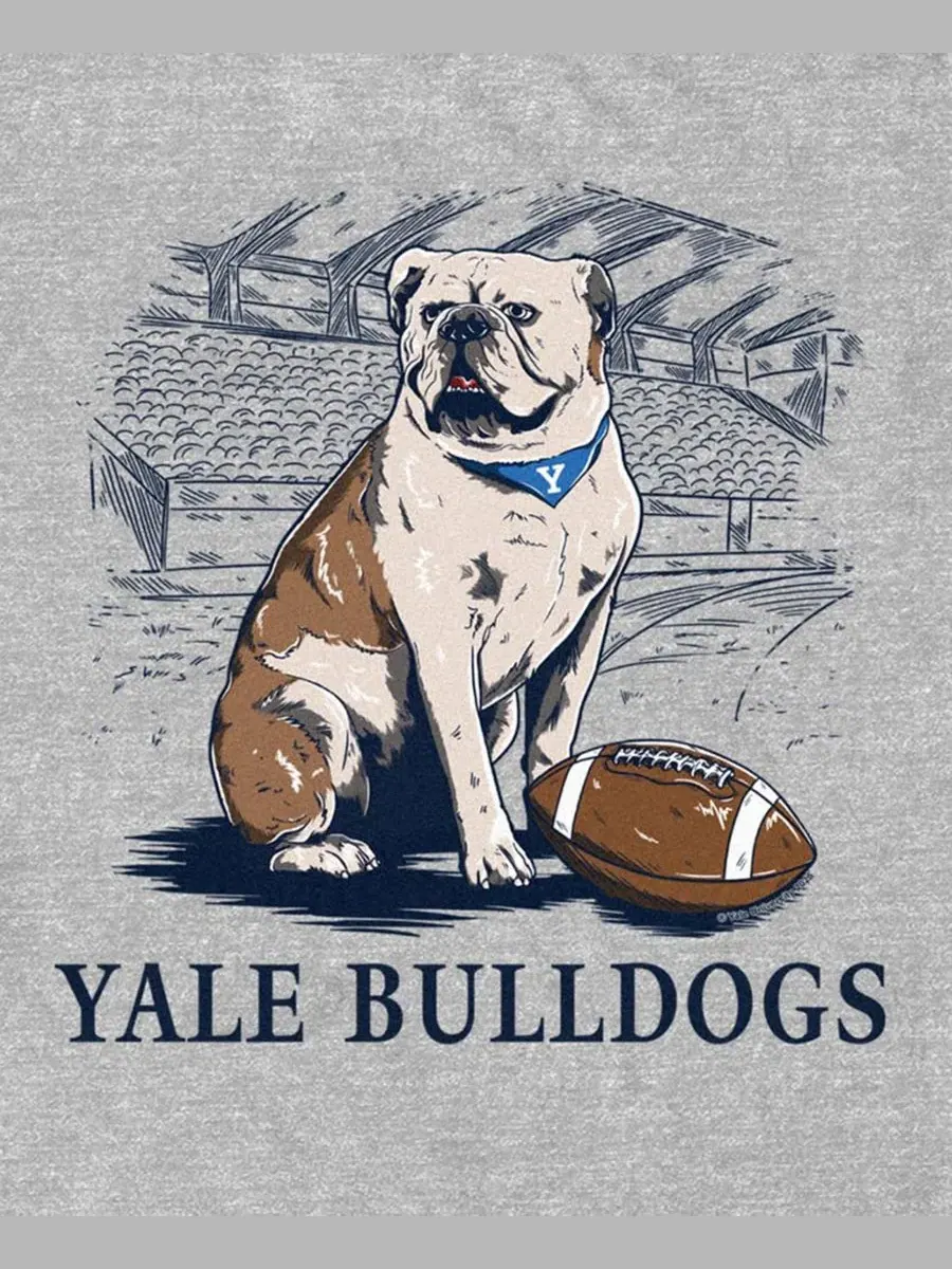 Мужская футболка с графическим принтом Yale Bulldog Fifth Sun — изображение 3 из 3, серый