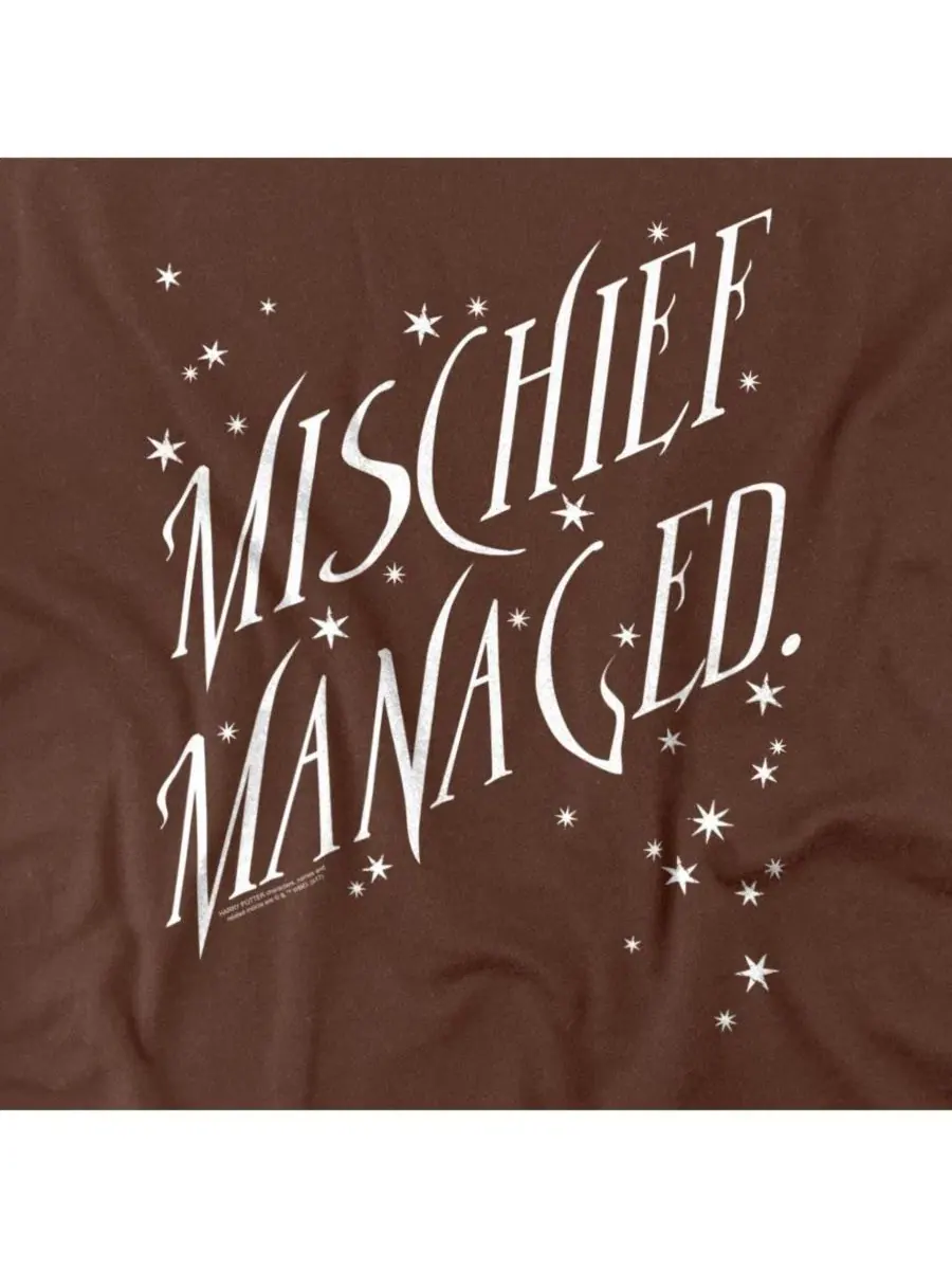 Футболка мужская с длинным рукавом Mischief Managed Harry Potter — изображение 3 из 3, коричневый