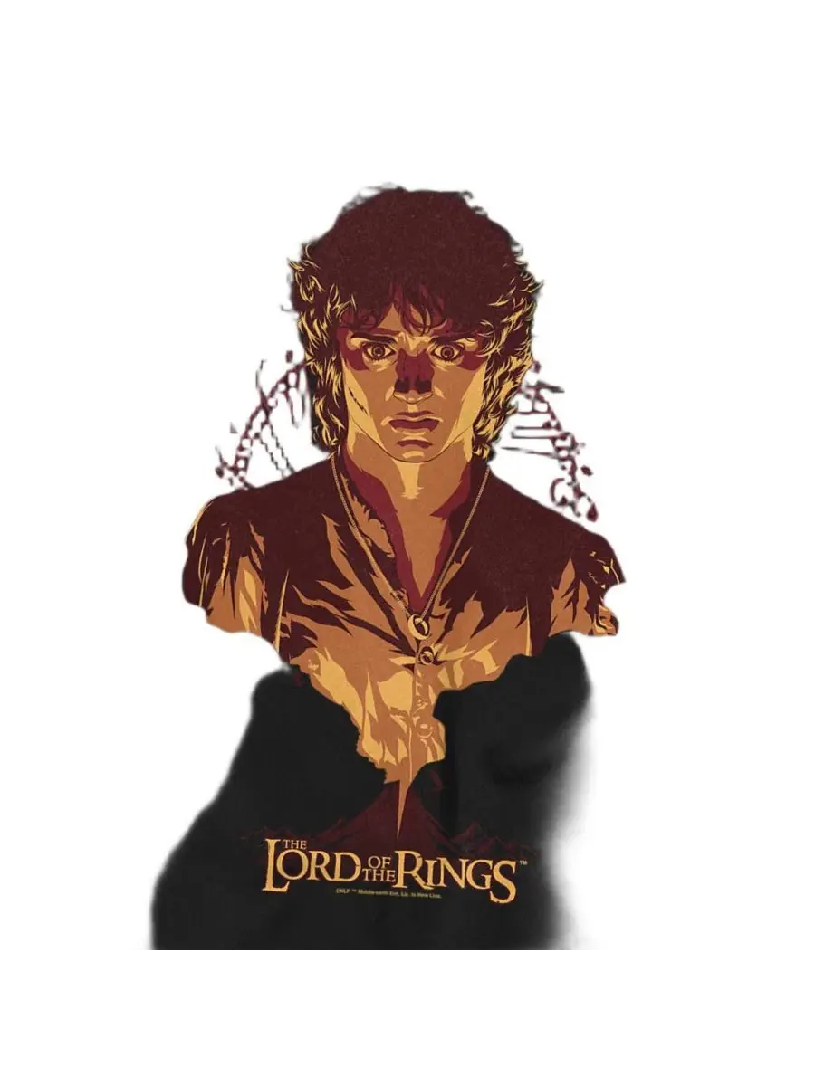 Футболка с принтом Frodo Mount Doom Lord Of The Rings — изображение 2 из 3, черный