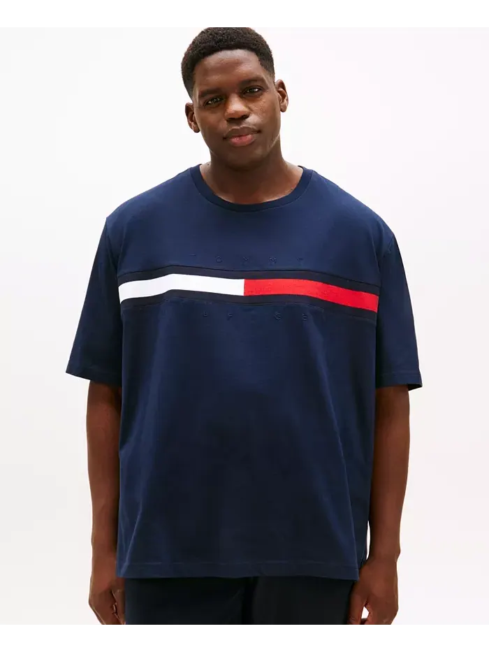 Мужская футболка с коротким рукавом Big & Tall Tino Logo Tommy Hilfiger — изображение 1 из 4, голубой