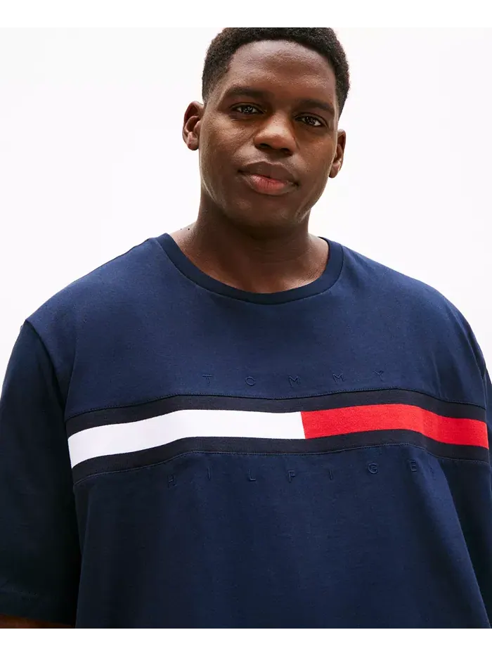 Мужская футболка с коротким рукавом Big & Tall Tino Logo Tommy Hilfiger — изображение 3 из 4, голубой