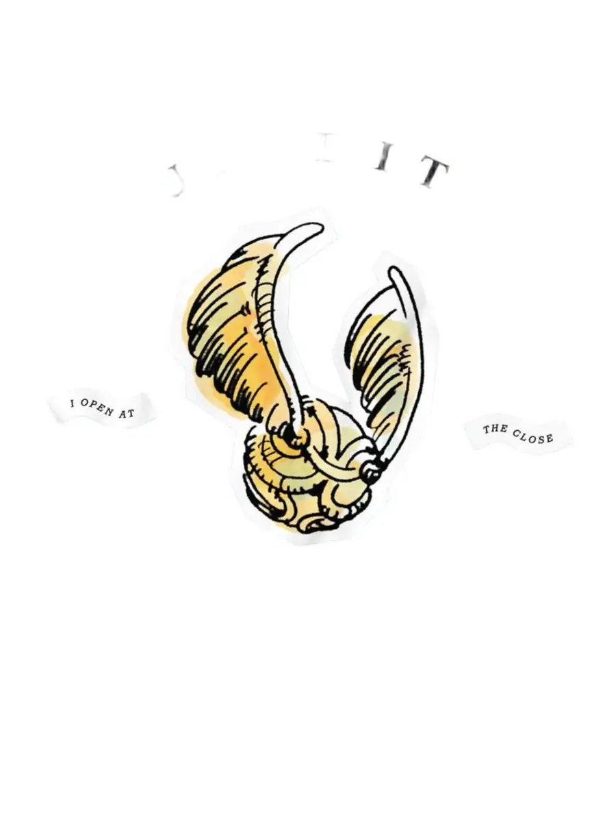 Футболка с принтом Golden Snitch I Open At The Close Harry Potter — изображение 3 из 3, светлый синий