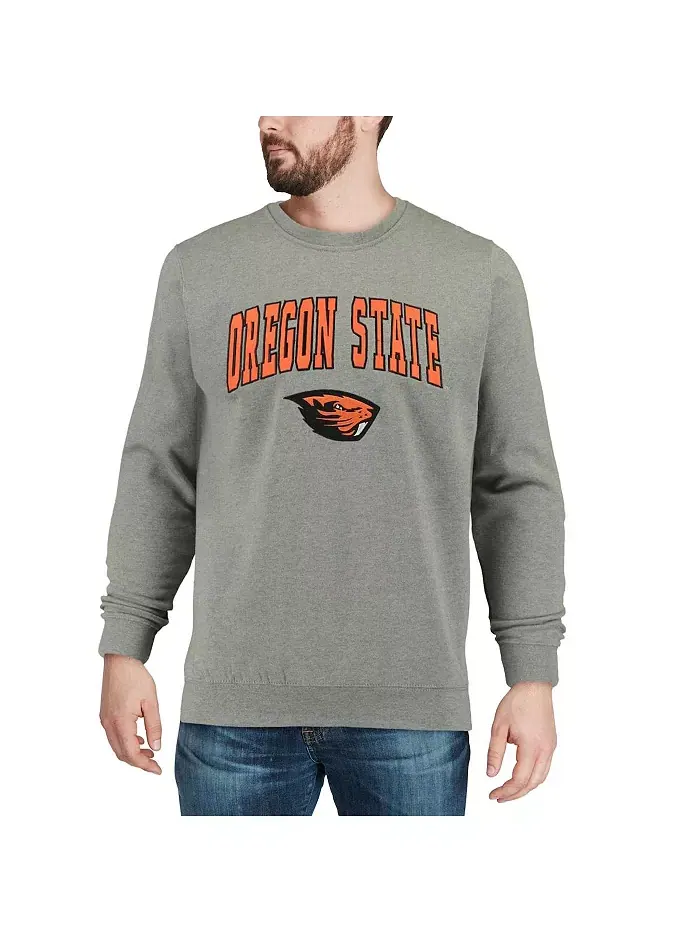 Мужская толстовка Oregon State Beavers с аппликацией в виде арки и логотипа Colosseum — изображение 4 из 6, серый