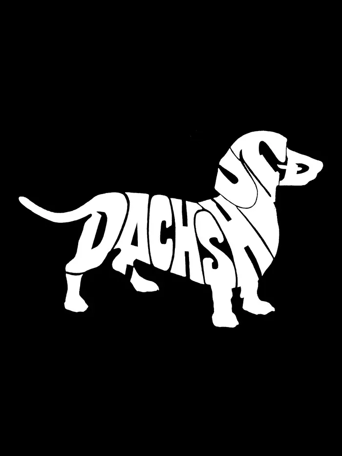 Мужской худи с длинным рукавом и принтом "Dachshund" LA Pop Art — изображение 3 из 3, темный серый