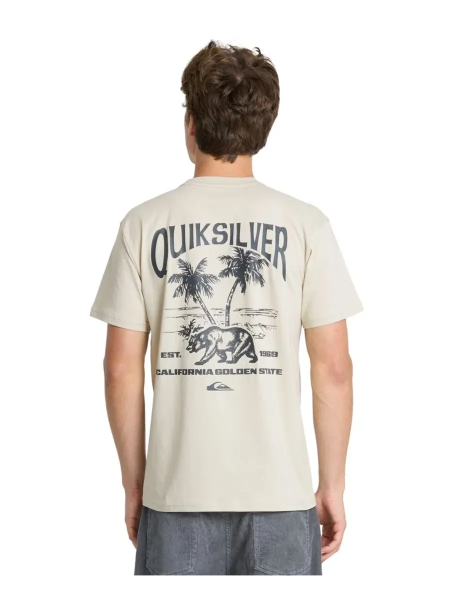Футболка с графическим принтом, модель Crewneck Graphic Quiksilver, Peyote — изображение 1 из 4