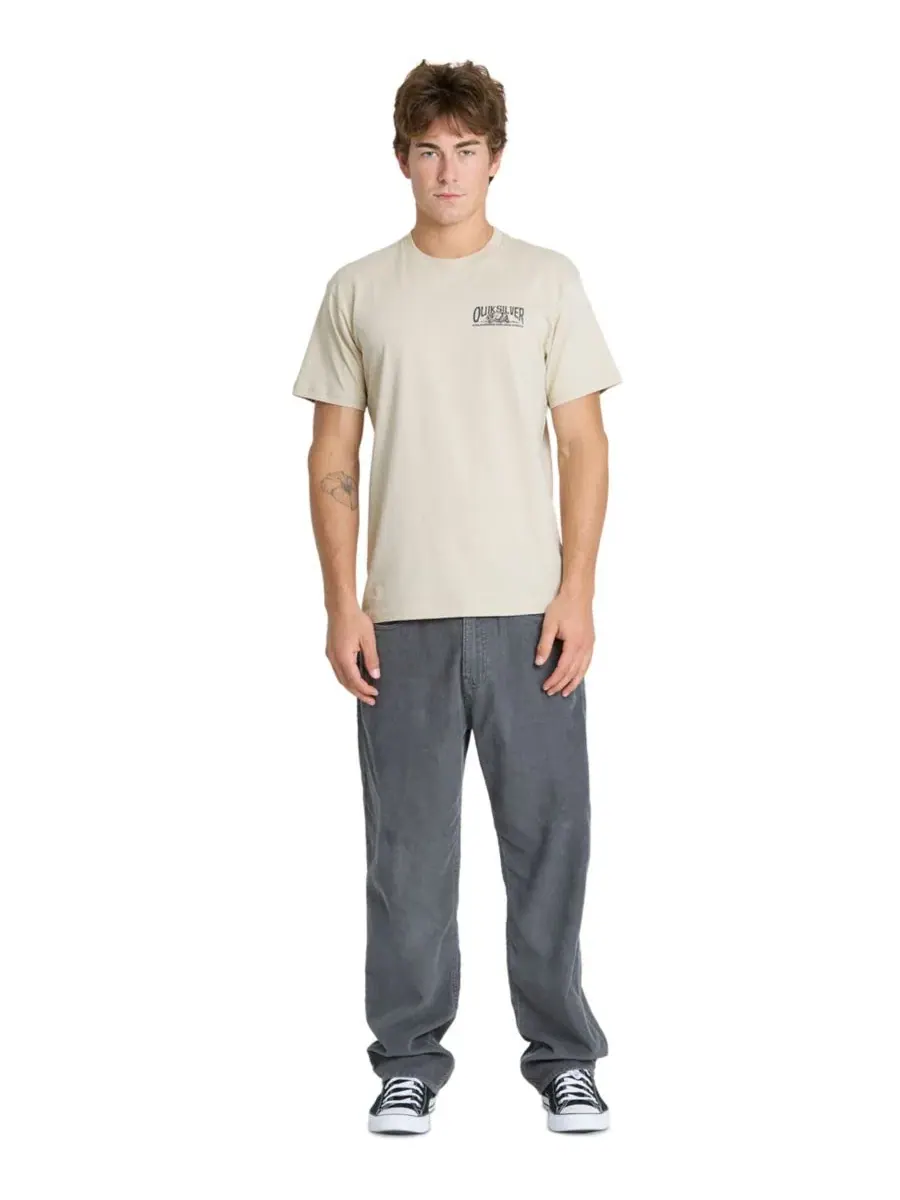 Футболка с графическим принтом, модель Crewneck Graphic Quiksilver, Peyote — изображение 2 из 4