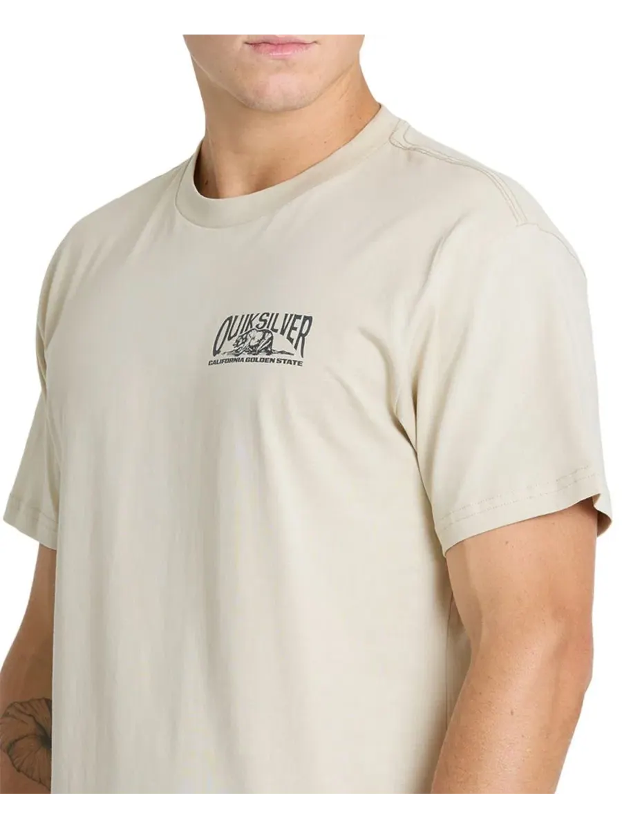 Футболка с графическим принтом, модель Crewneck Graphic Quiksilver, Peyote — изображение 4 из 4