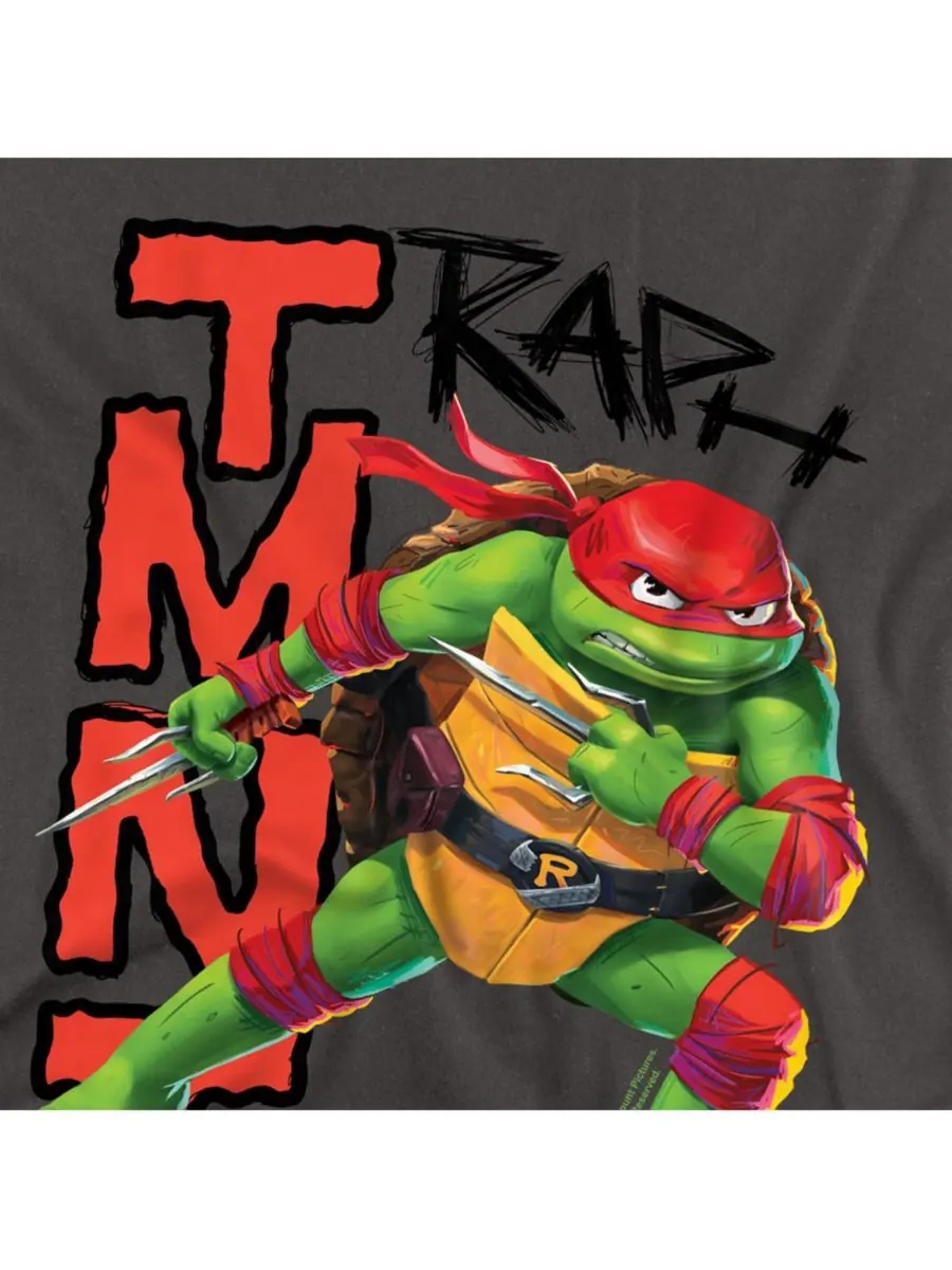 Мужская футболка TMNT Mutant Mayhem Raph TEENAGE MUTANT NINJA TURTLES — изображение 2 из 3, темно-серый