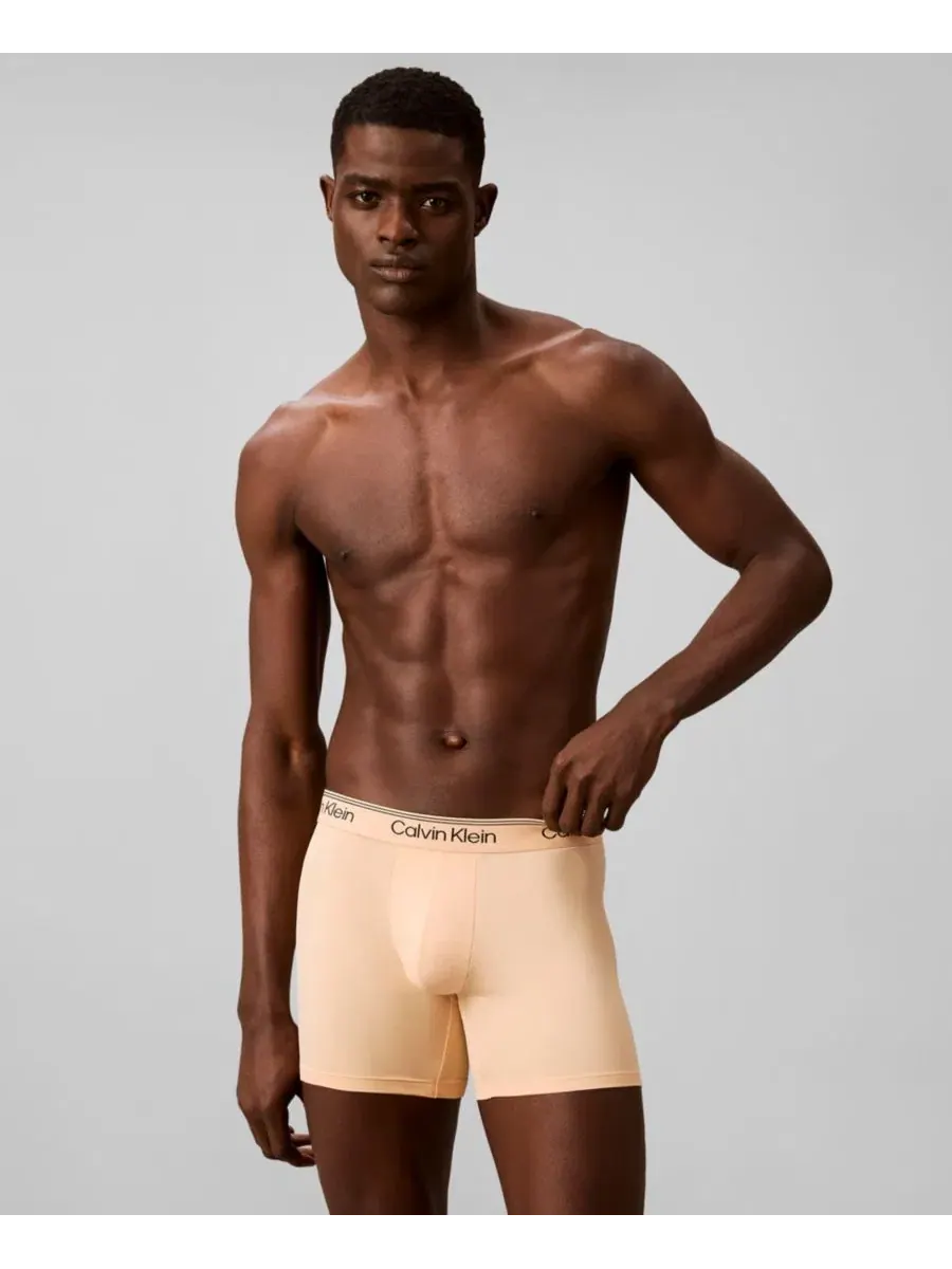Мужские боксеры из микрофибры с эластичным ворсом, комплект из 4 штук Calvin Klein — изображение 3 из 6, бежевый