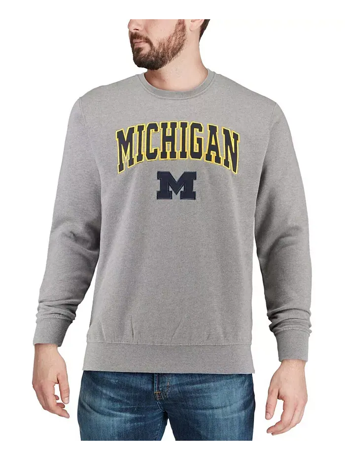 Мужской свитшот с круглым вырезом Michigan Wolverines с аркой и логотипом Colosseum — изображение 4 из 7, серый