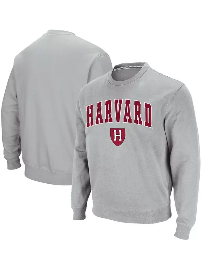 Мужская толстовка Harvard Crimson с вышивкой командной арки и логотипом Colosseum — изображение 1 из 3, серый