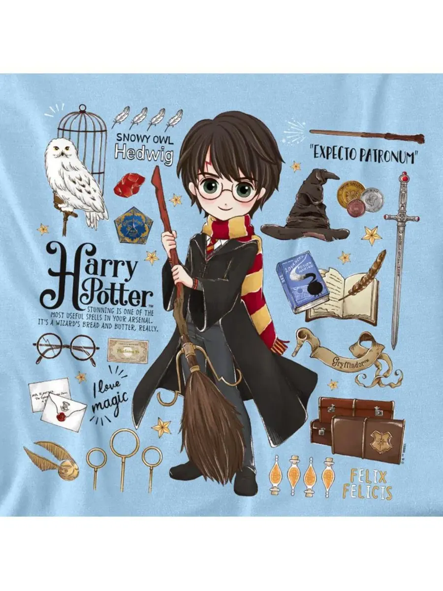 Мужская футболка "Все, что есть" Harry Potter — изображение 2 из 3, светлый синий