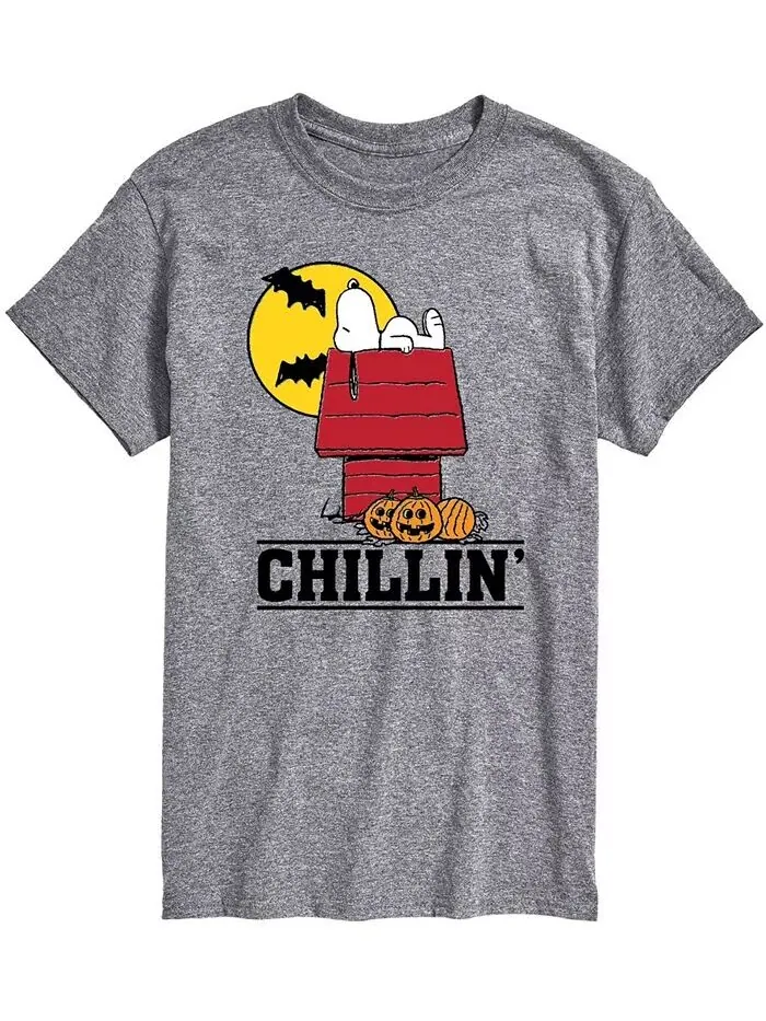 Мужская футболка Peanuts Chillin AIRWAVES — изображение 1 из 2, серый