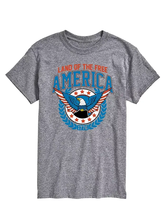 Мужская футболка Americana Land of The Free с коротким рукавом AIRWAVES — изображение 1 из 3, серый