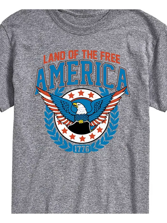 Мужская футболка Americana Land of The Free с коротким рукавом AIRWAVES — изображение 2 из 3, серый
