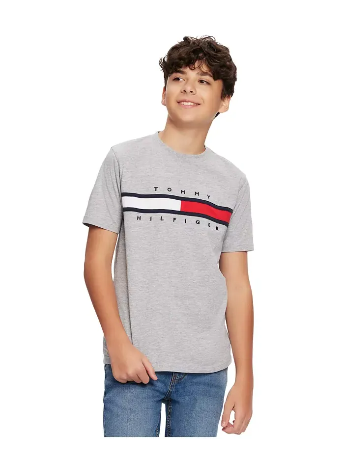 Футболка Tommy New Signature для малышей и мальчиков Tommy Hilfiger — изображение 1 из 4, серый