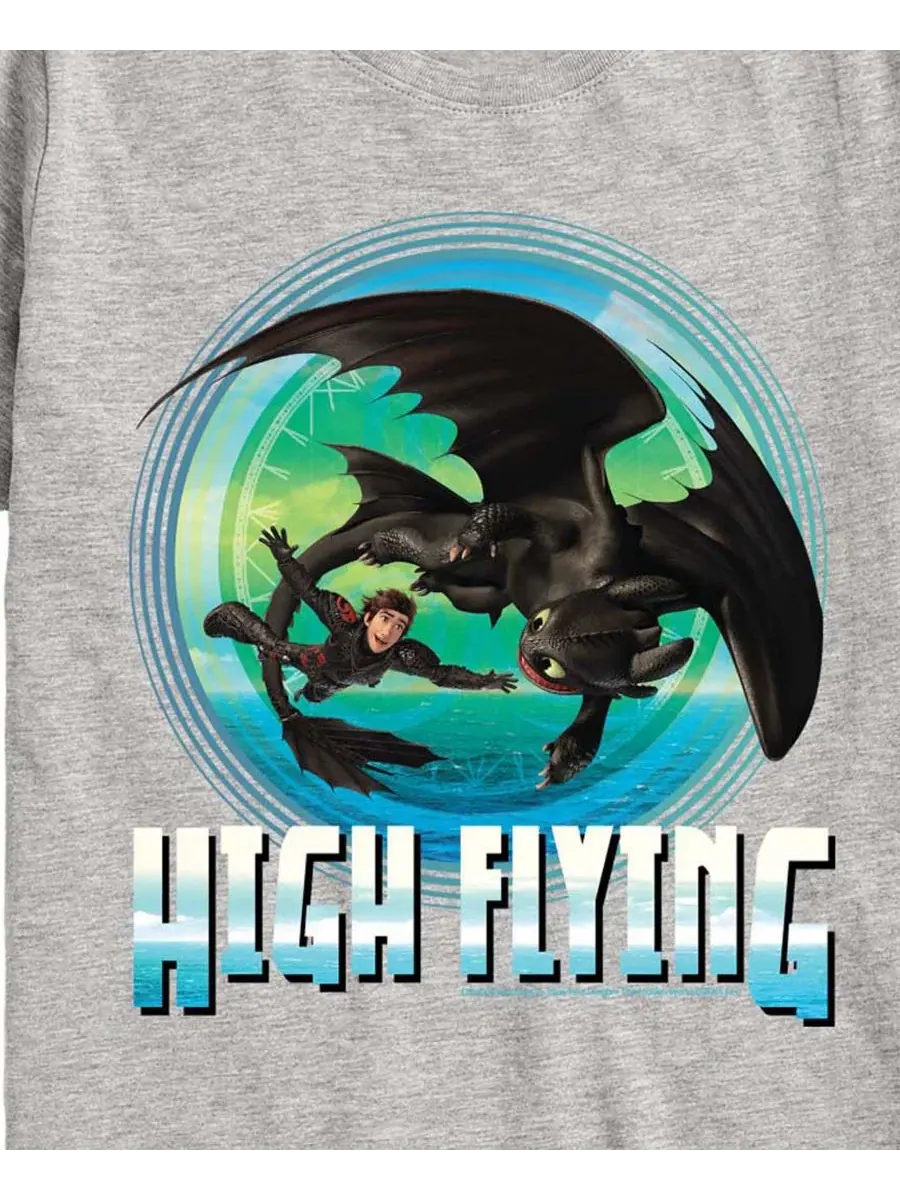 Детская футболка с коротким рукавом для мальчиков, размер 2T-5T How To Train Your Dragon — изображение 3 из 3, приглушенный