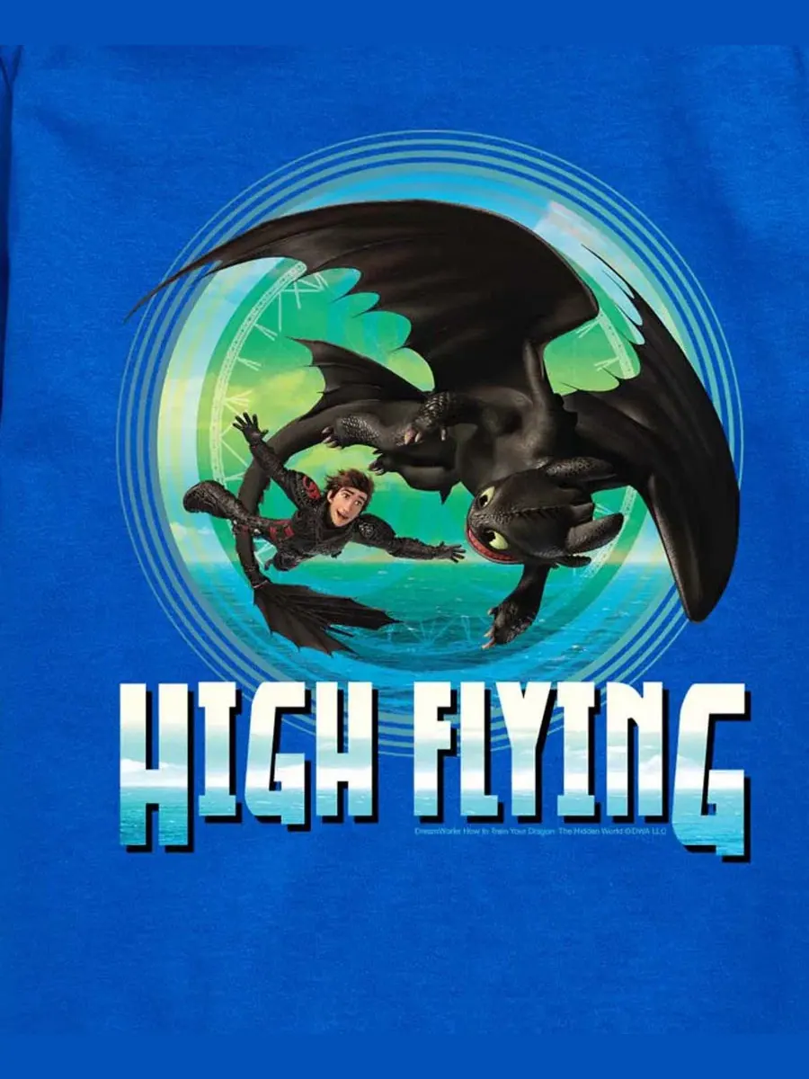 Детская футболка с коротким рукавом для мальчиков, размер 2T-5T How To Train Your Dragon — изображение 3 из 3, синий