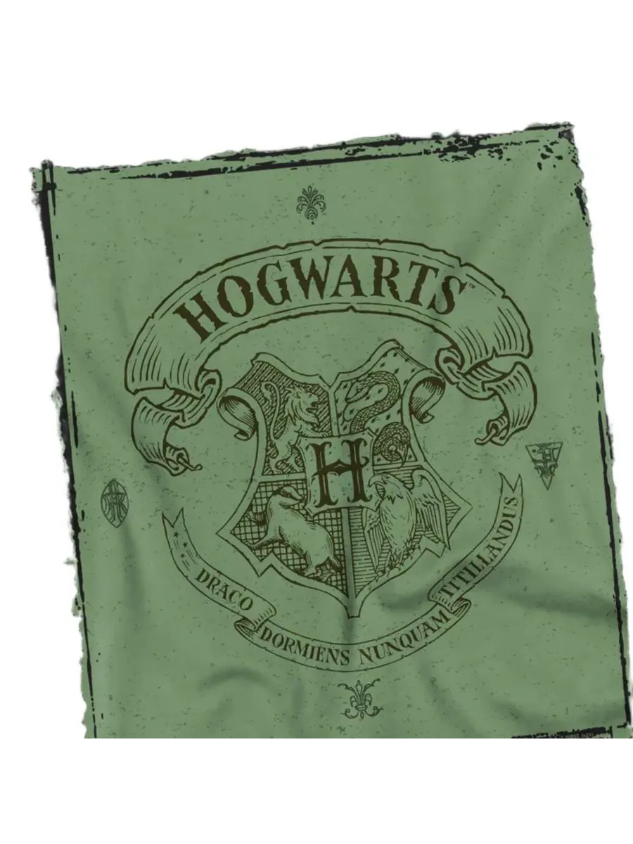 Футболка с принтом Hogwarts Crest On Green Parchment Harry Potter — изображение 2 из 3, черный